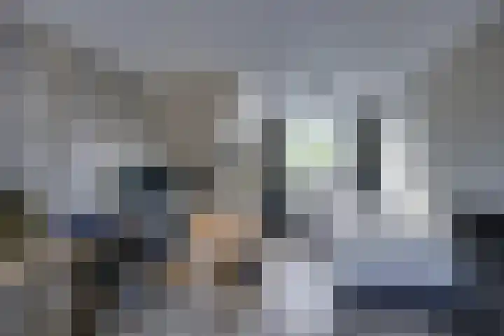 Tuinstraat 20 Dirksland thumbnail 24