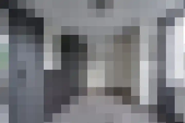 Tuinstraat 20 Dirksland thumbnail 27