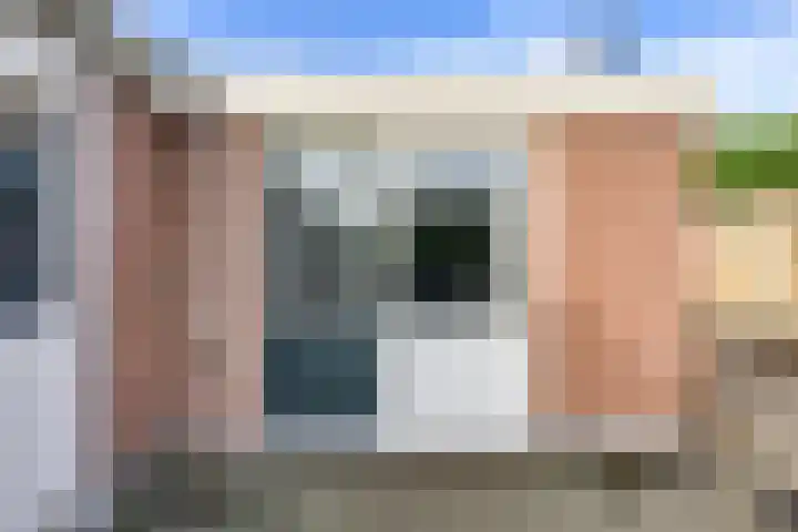 Tuinstraat 20 Dirksland thumbnail 29