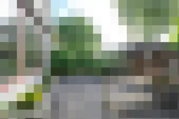 Tuinstraat 20 Dirksland thumbnail 33