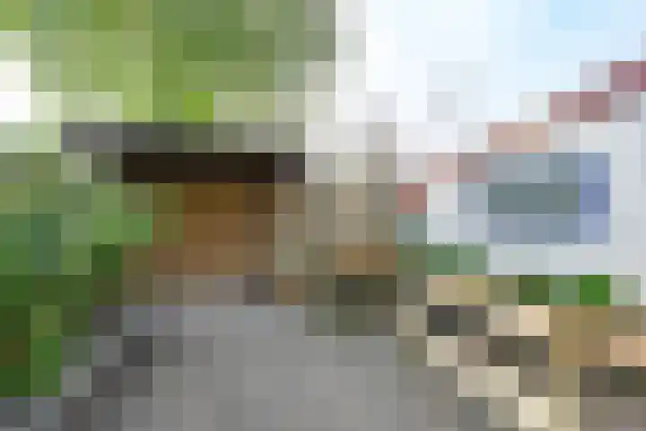 Tuinstraat 20 Dirksland thumbnail 34