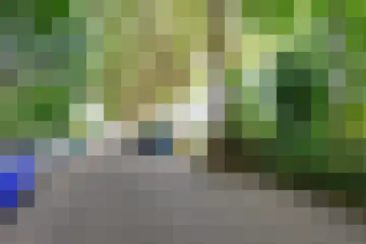 Tuinstraat 20 Dirksland thumbnail 35