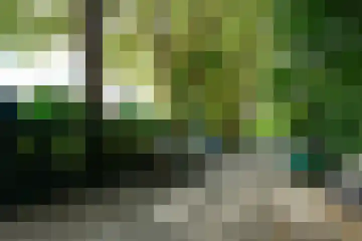 Tuinstraat 20 Dirksland thumbnail 36