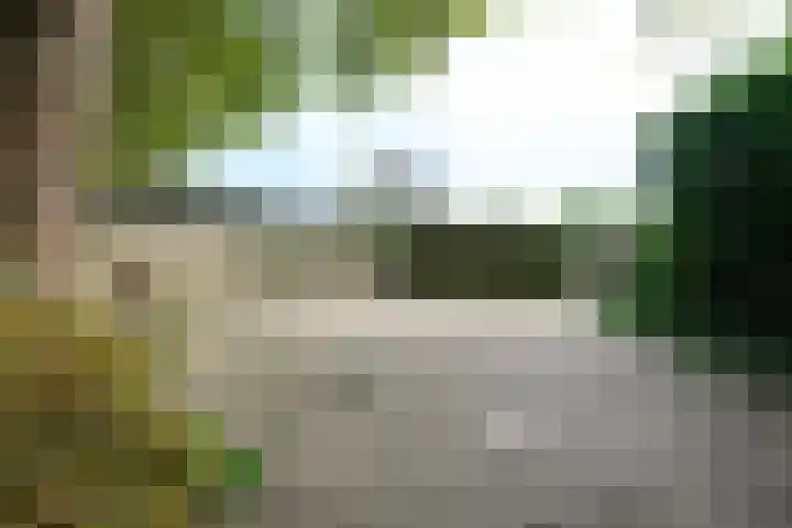 Tuinstraat 20 Dirksland thumbnail 37