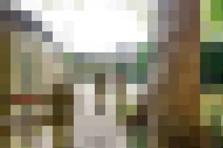 Tuinstraat 20 Dirksland thumbnail 38
