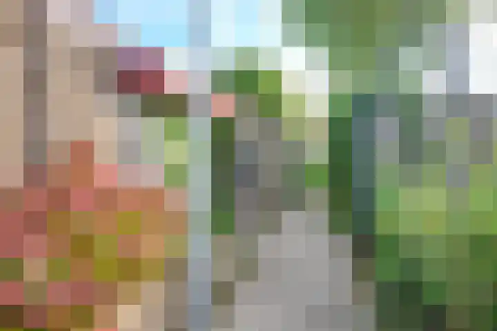 Tuinstraat 20 Dirksland thumbnail 39