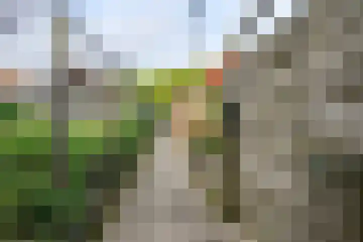 Tuinstraat 20 Dirksland thumbnail 40