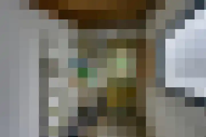 Tuinstraat 20 Dirksland thumbnail 42