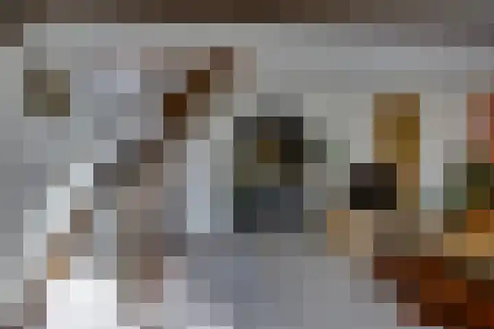 Tuinstraat 20 Dirksland thumbnail 6