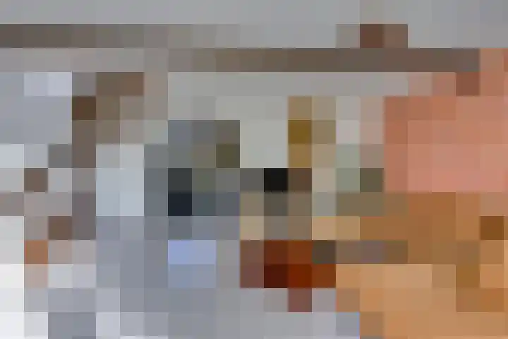Tuinstraat 20 Dirksland thumbnail 9