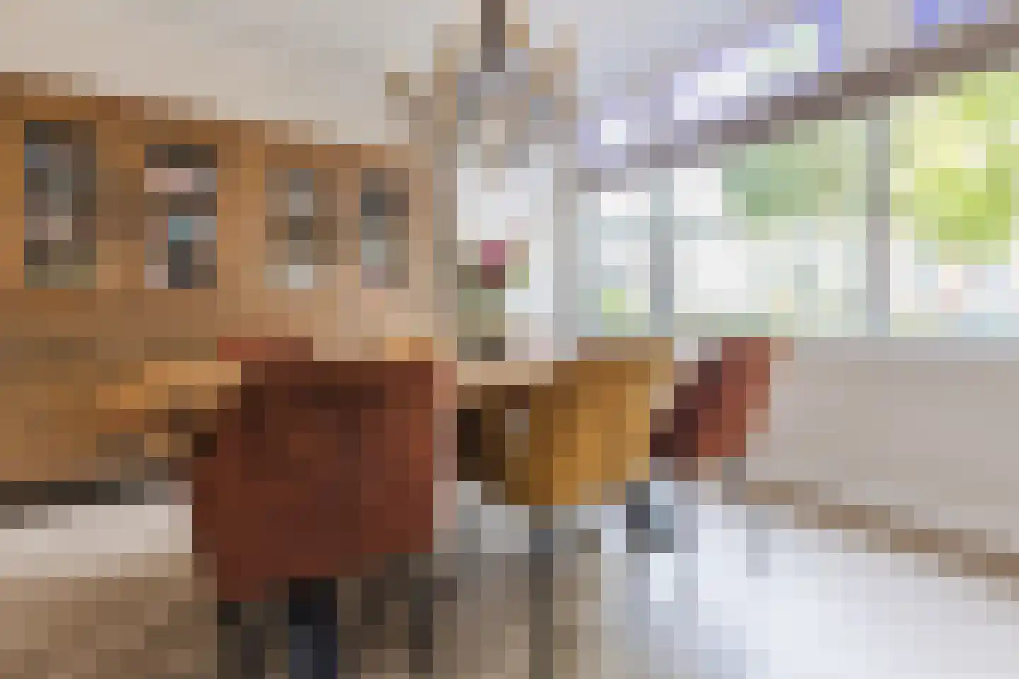 Tuinstraat 20 Rijen thumbnail 18