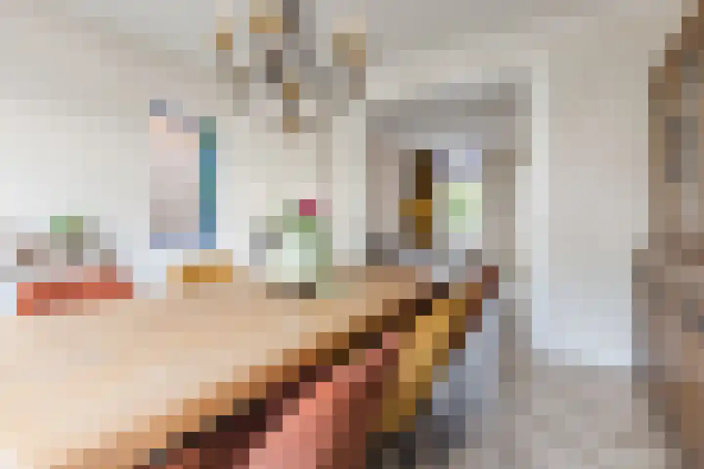 Tuinstraat 20 Rijen thumbnail 21