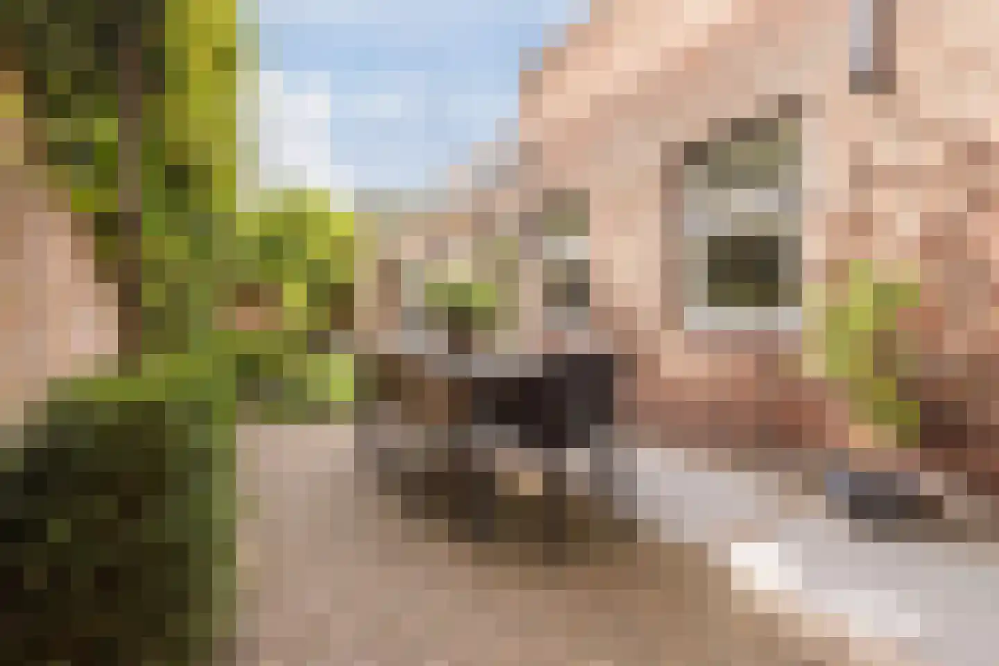 Tuinstraat 20 Rijen thumbnail 32