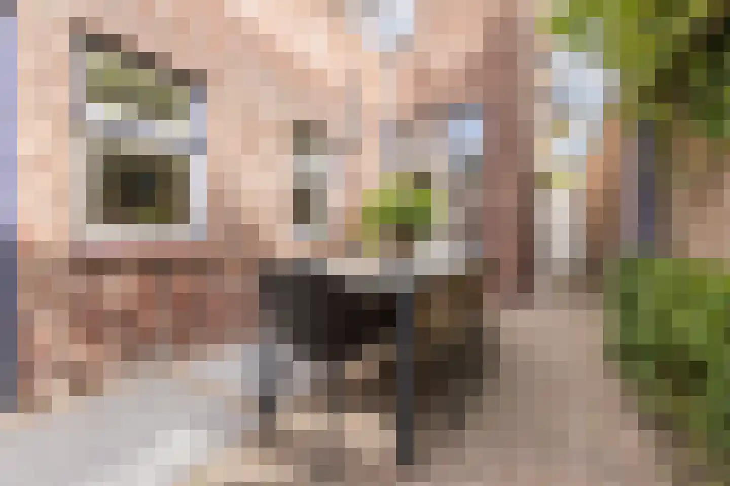 Tuinstraat 20 Rijen thumbnail 33