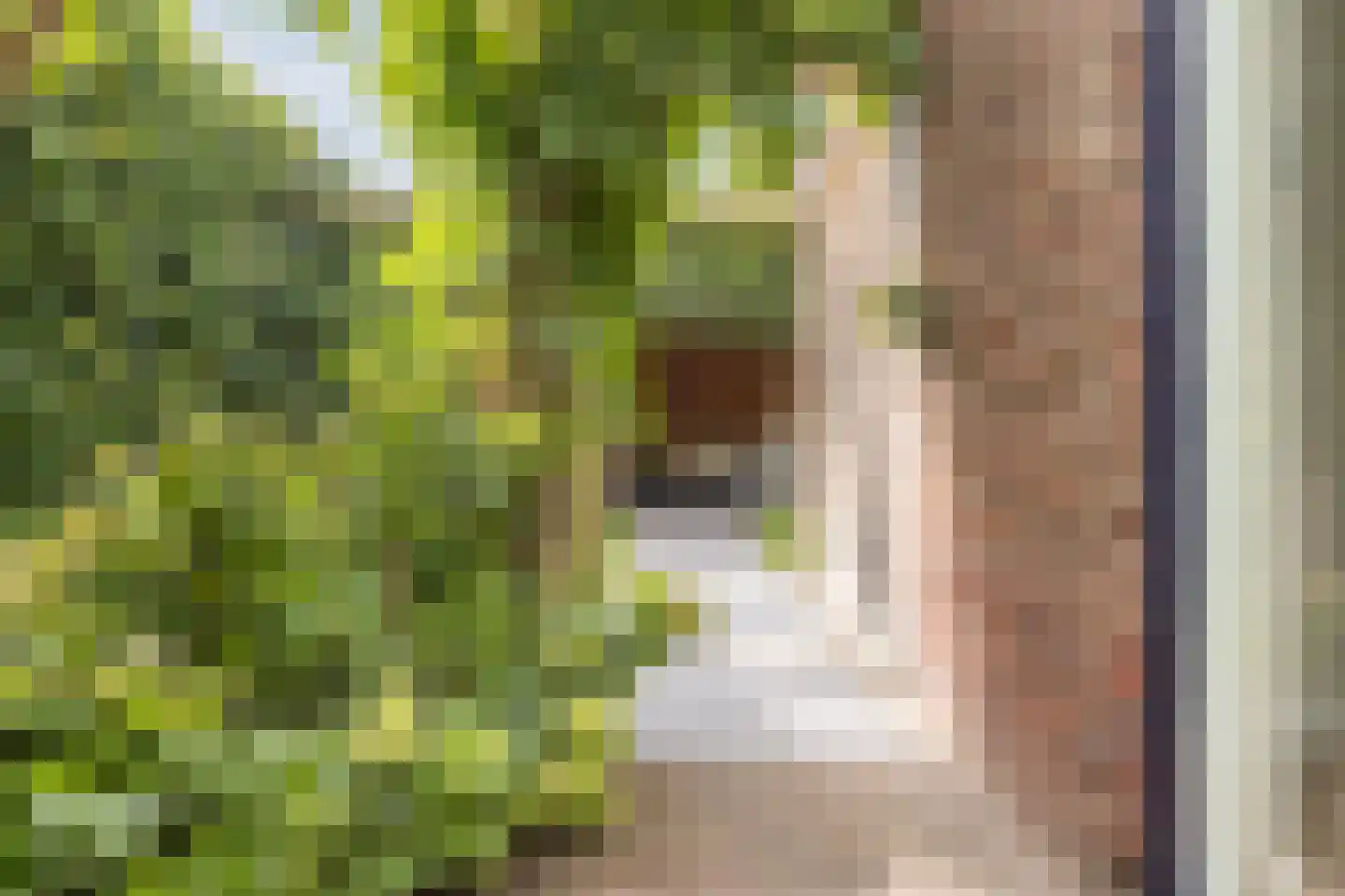 Tuinstraat 20 Rijen thumbnail 34