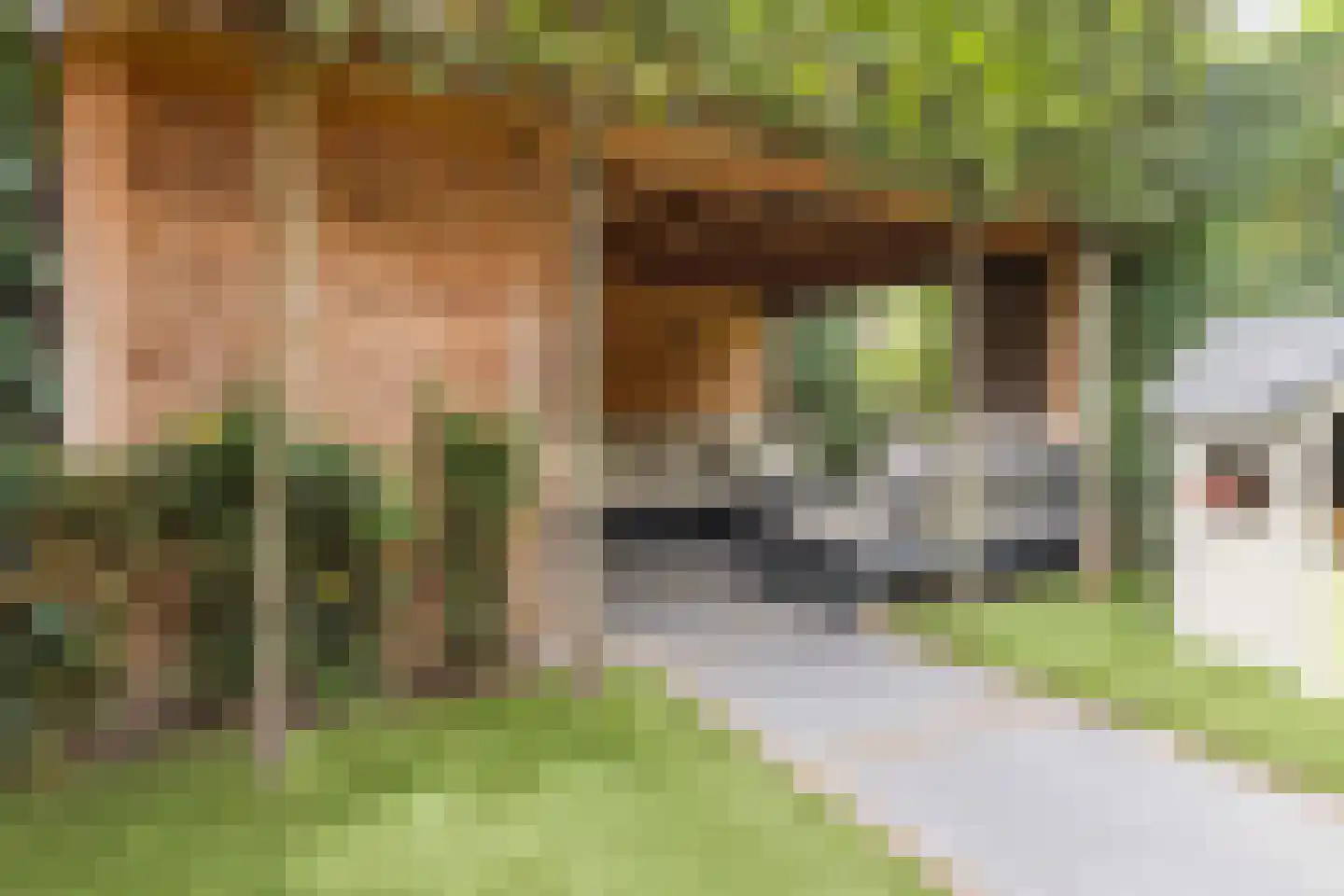 Tuinstraat 20 Rijen thumbnail 36