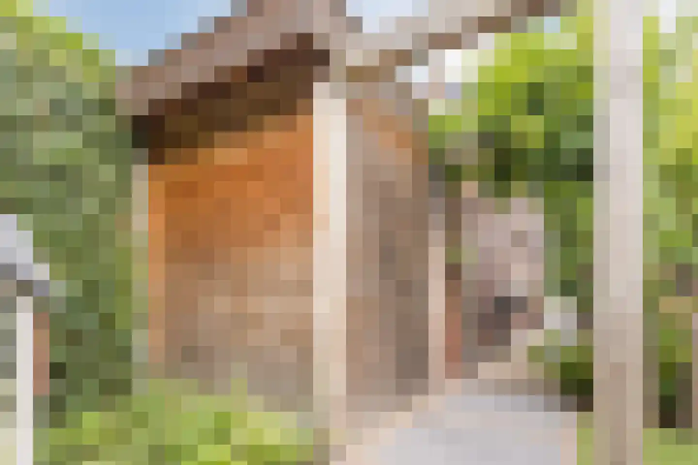 Tuinstraat 20 Rijen thumbnail 37