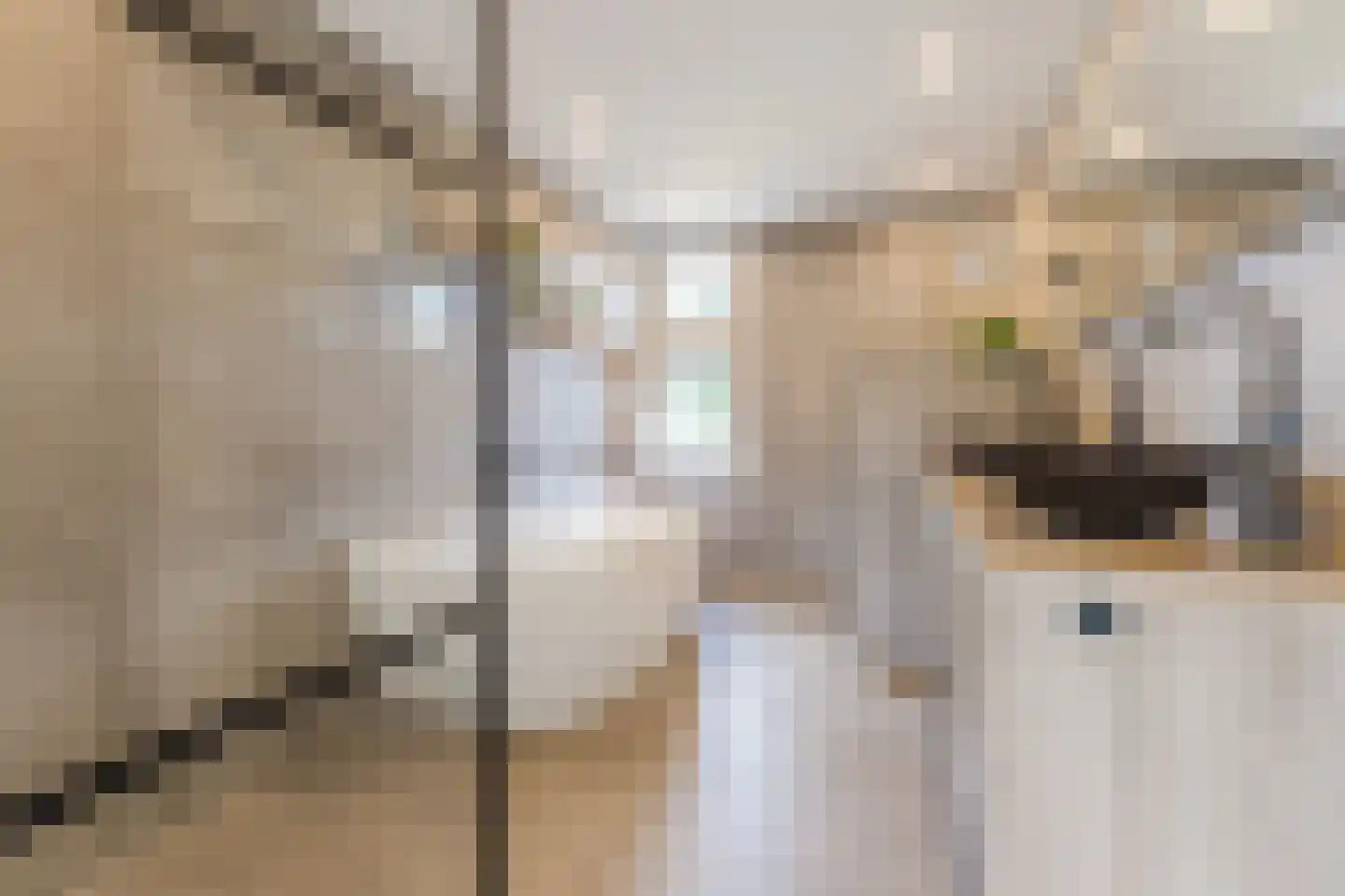 Tuinstraat 20 Rijen thumbnail 4