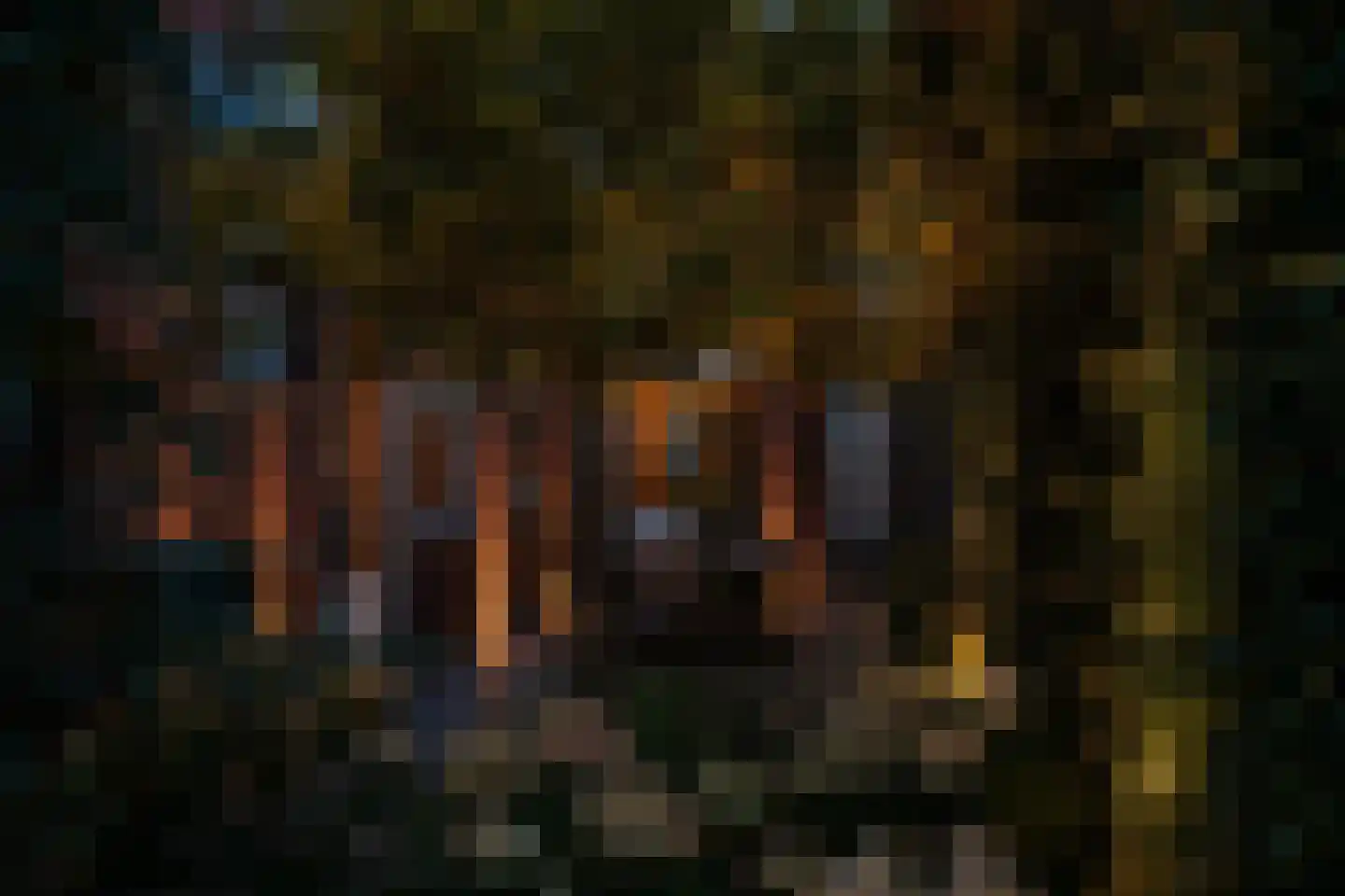 Tuinstraat 20 Rijen thumbnail 43