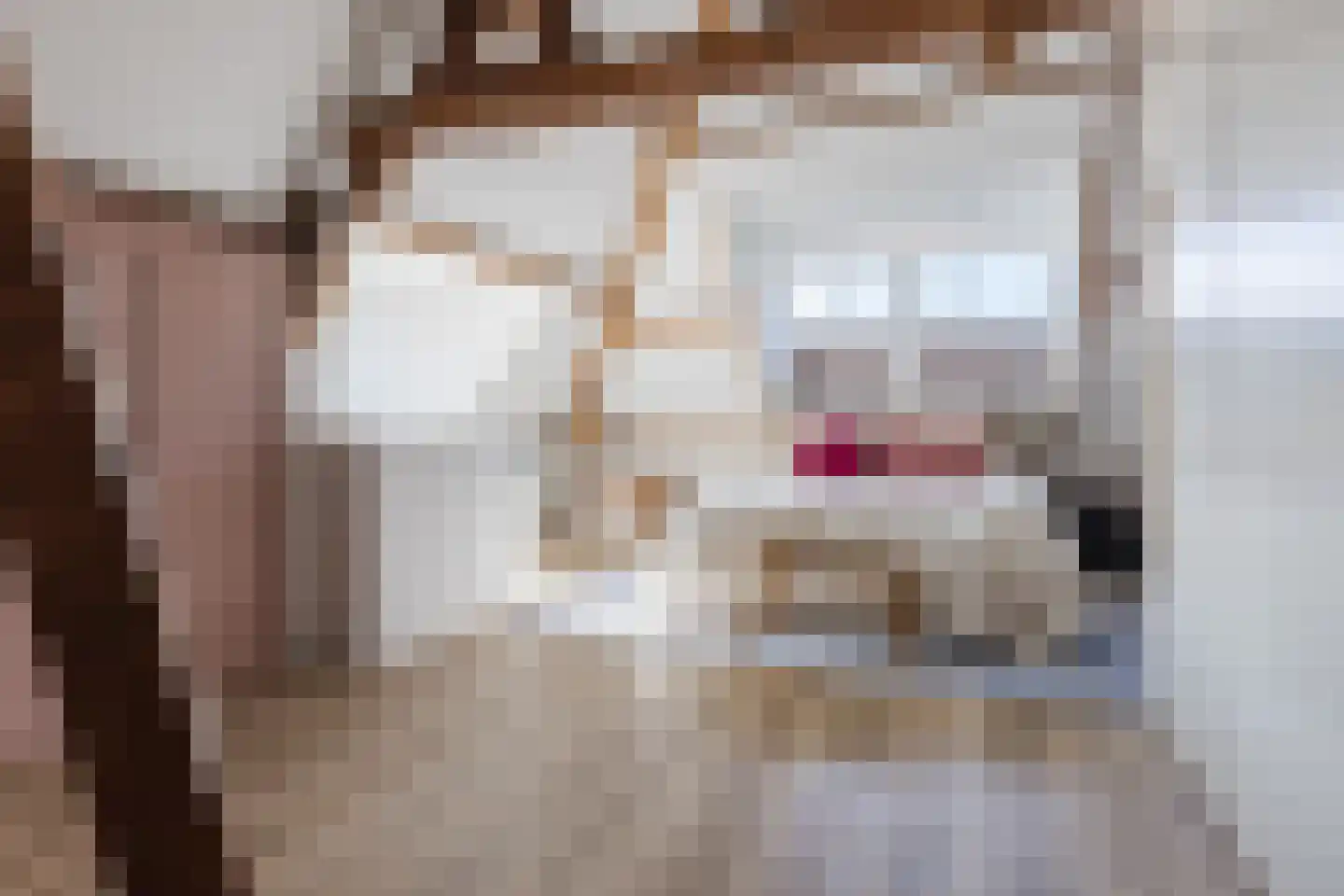 Tuinstraat 20 Rijen thumbnail 5
