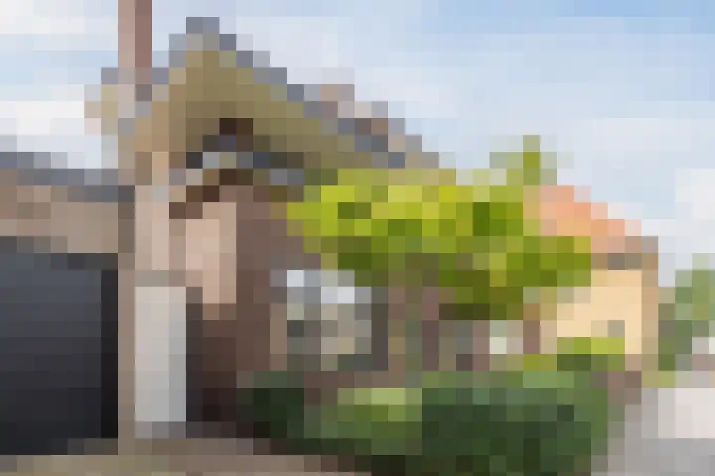 Tuinstraat 20 Rijen thumbnail 7