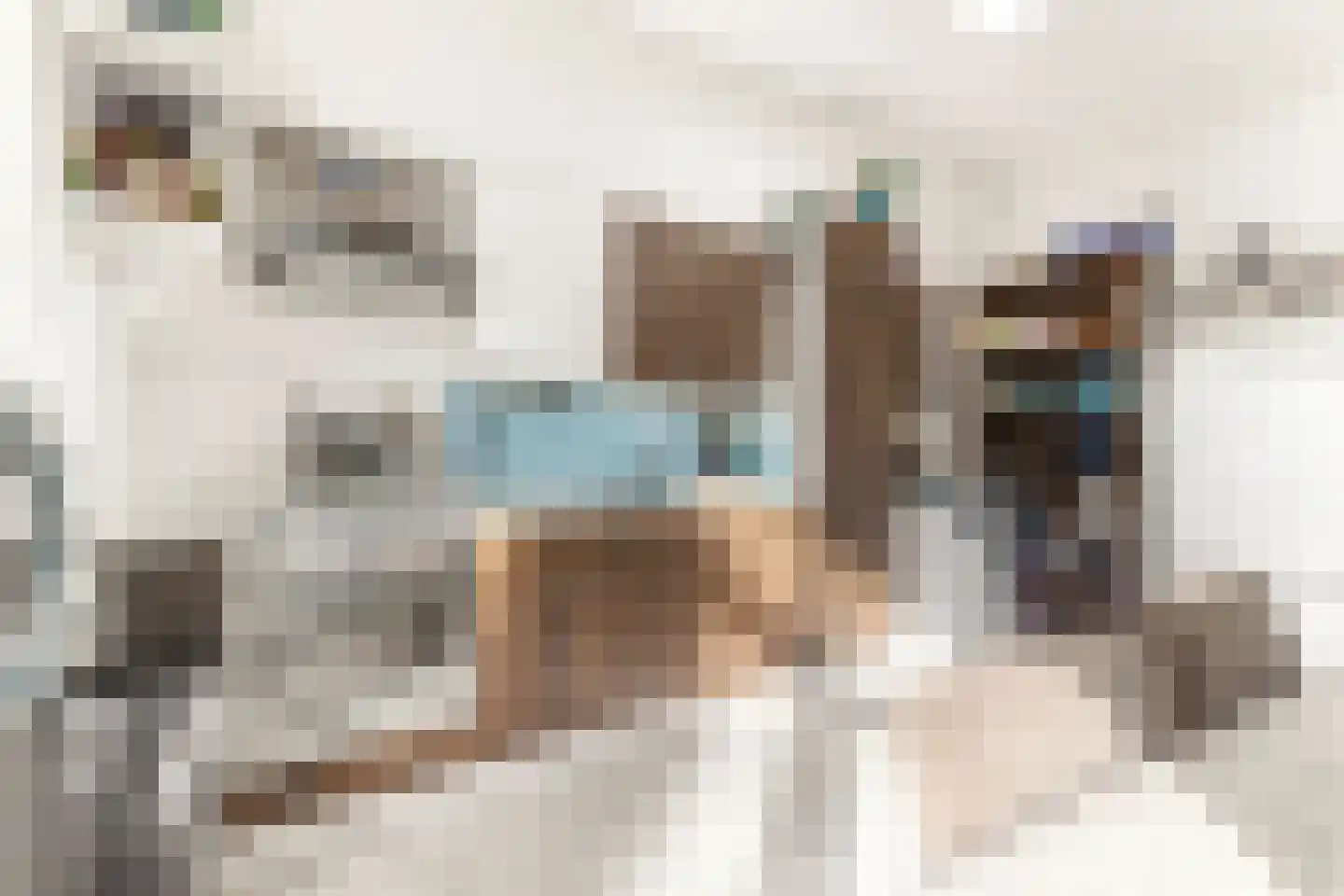 Tuinstraat 21 Alkmaar thumbnail 11