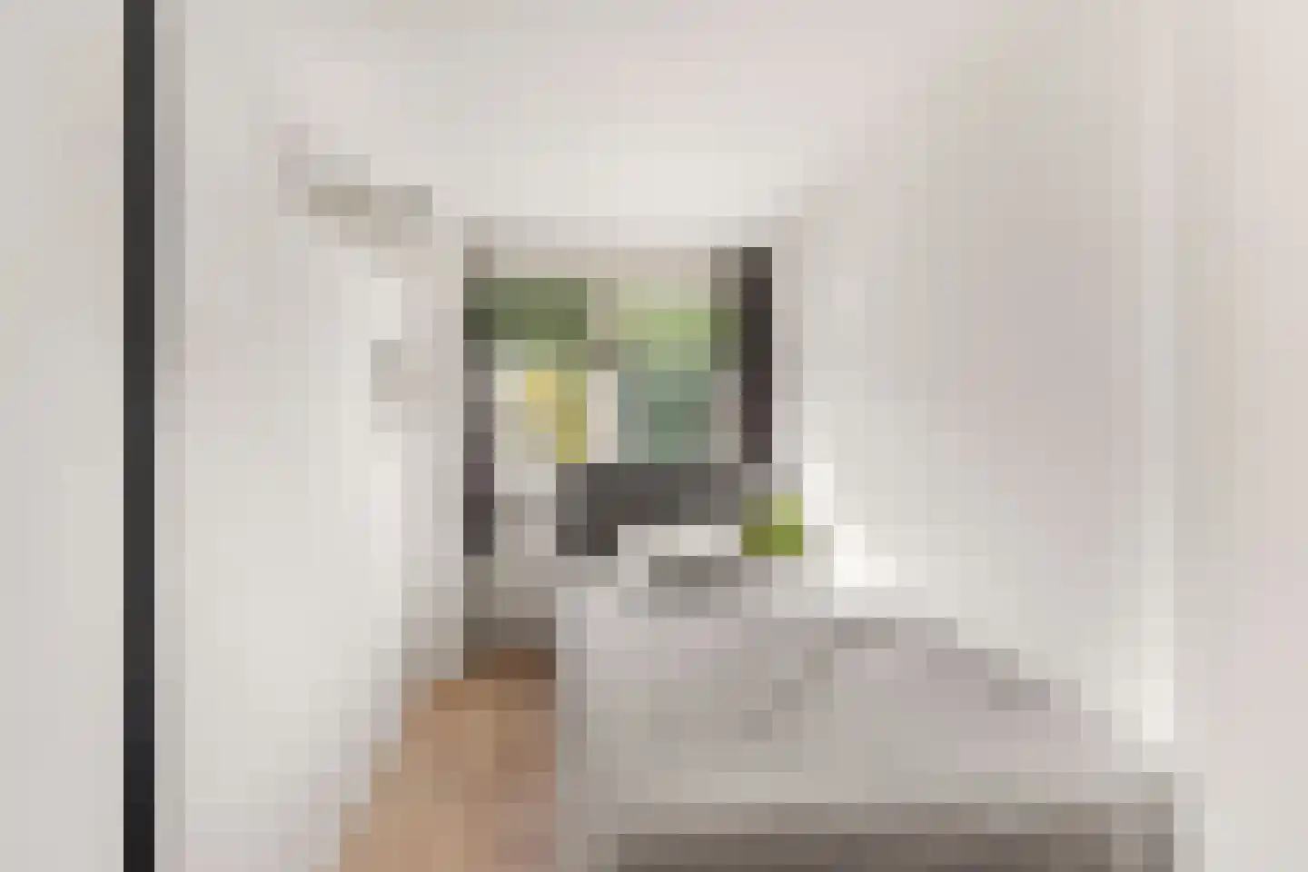 Tuinstraat 21 Alkmaar thumbnail 17