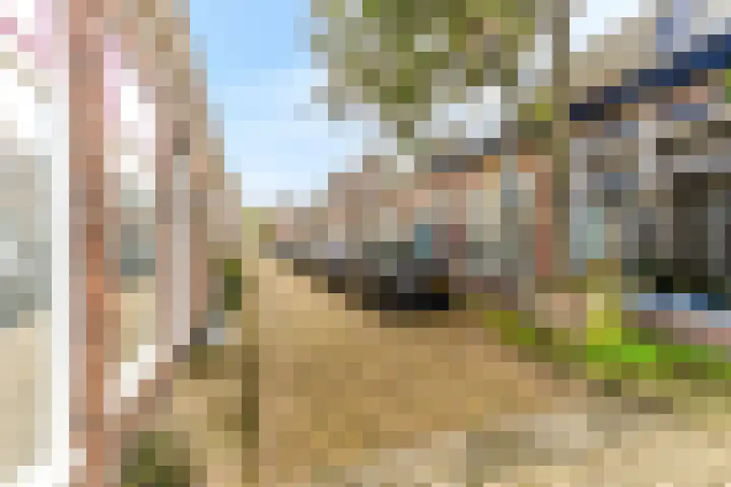 Tuinstraat 21 Alkmaar thumbnail 24