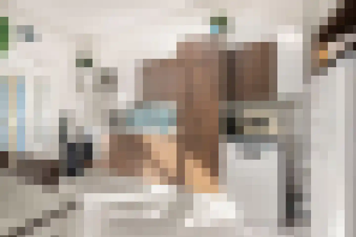 Tuinstraat 21 Alkmaar thumbnail 8