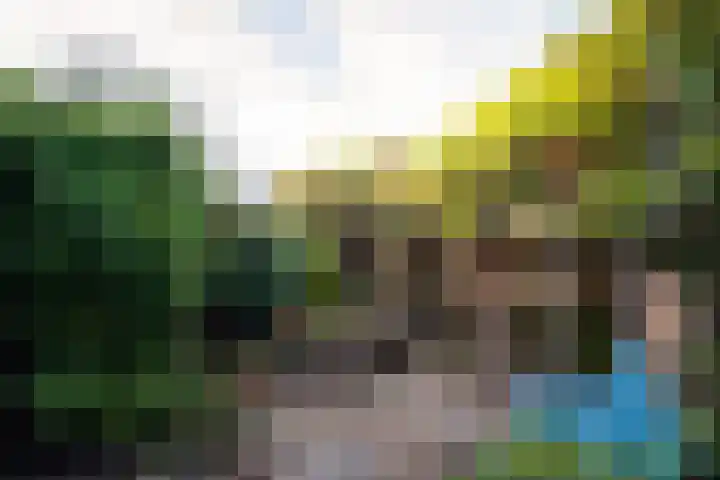 Tuinstraat 21 Alphen aan den Rijn thumbnail 17