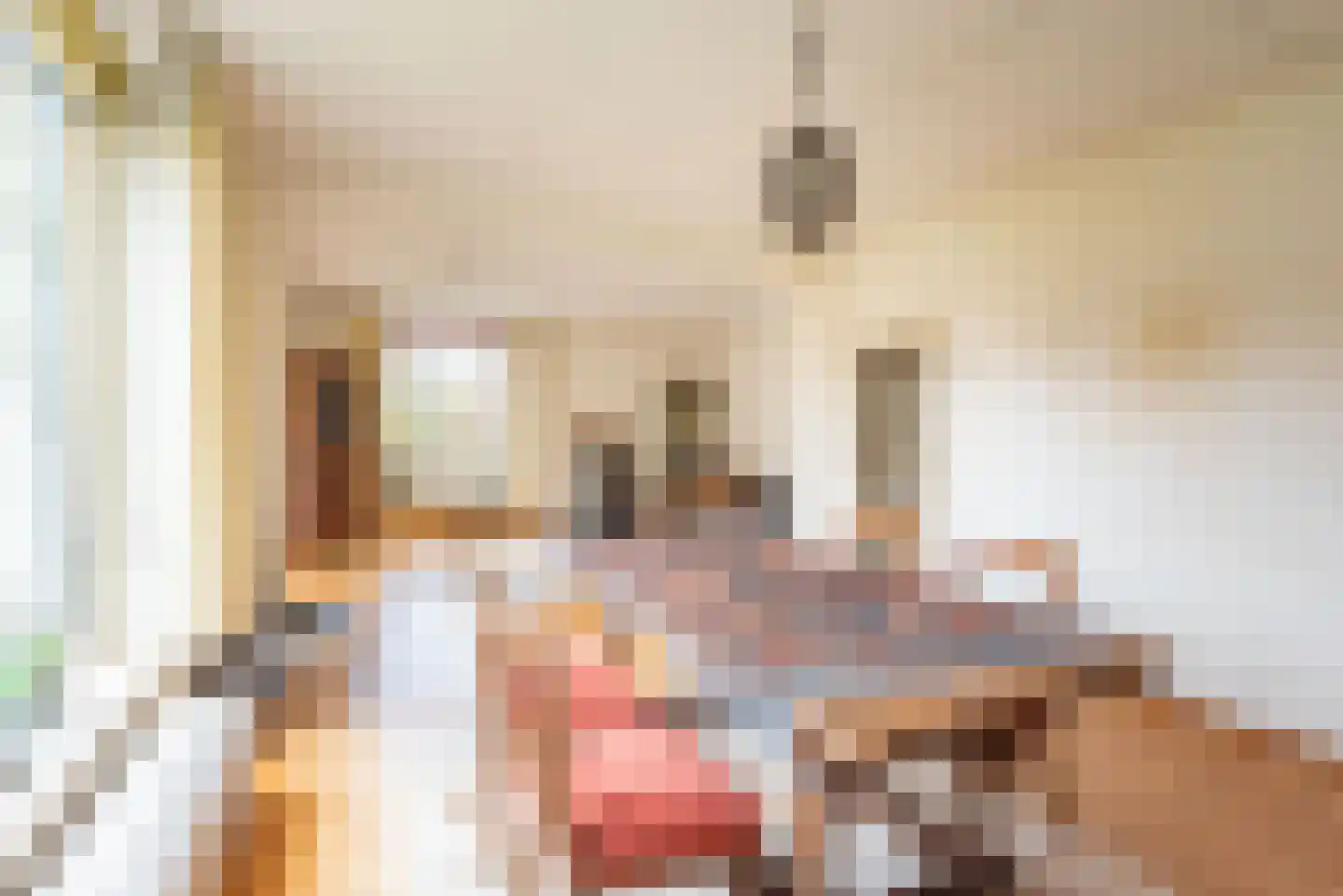 Tuinstraat 21 Ulft thumbnail 15
