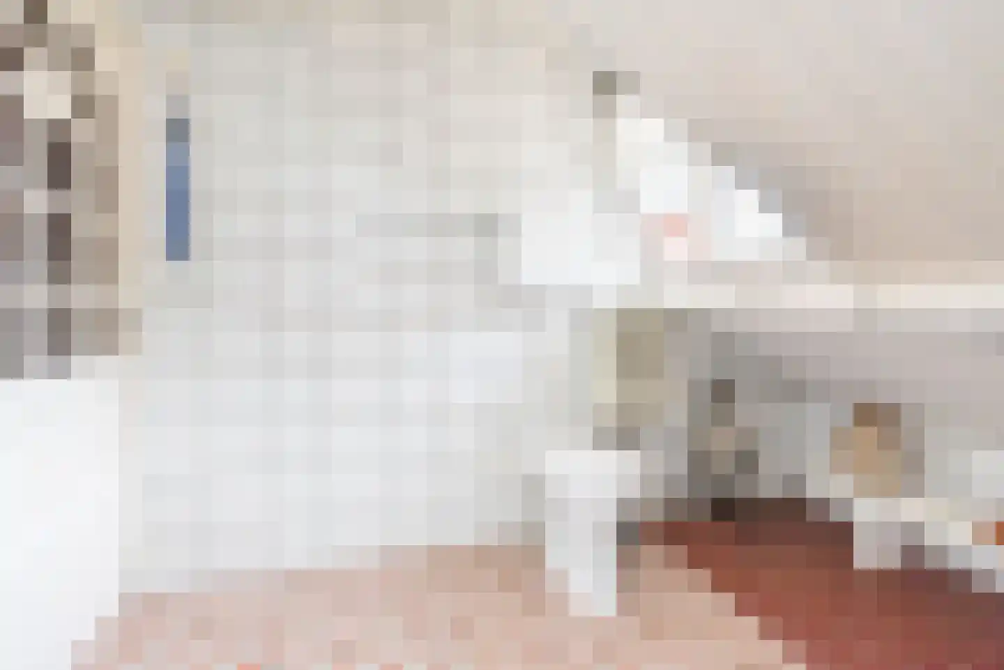 Tuinstraat 21 Ulft thumbnail 28