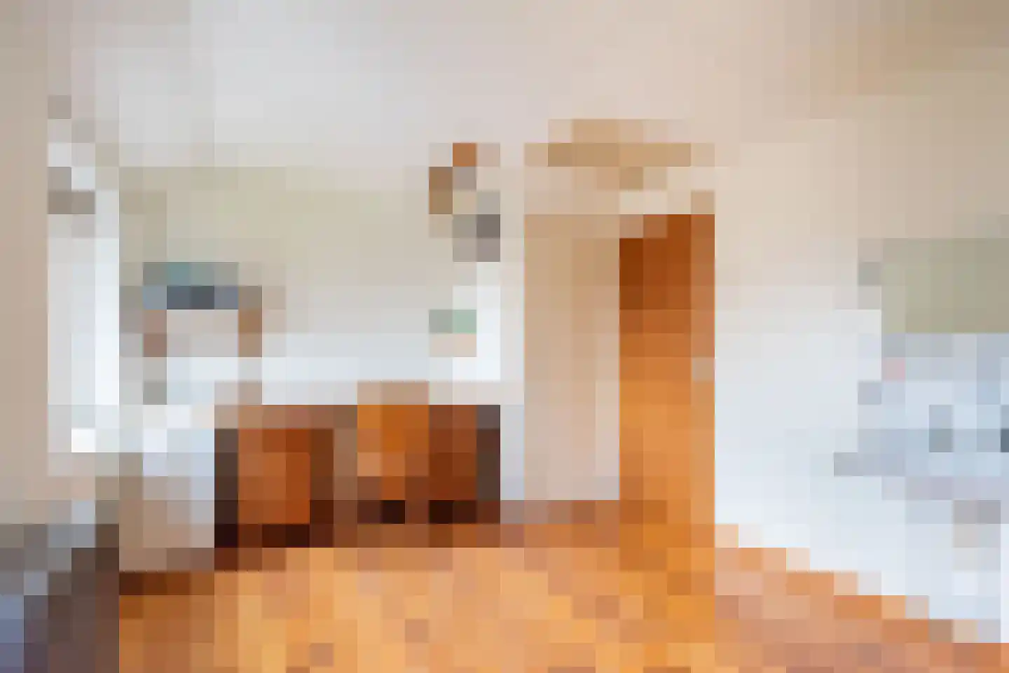 Tuinstraat 21 Ulft thumbnail 34
