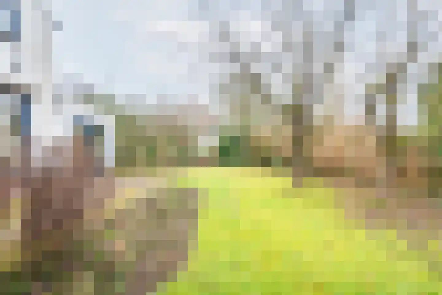 Tuinstraat 21 Ulft thumbnail 42