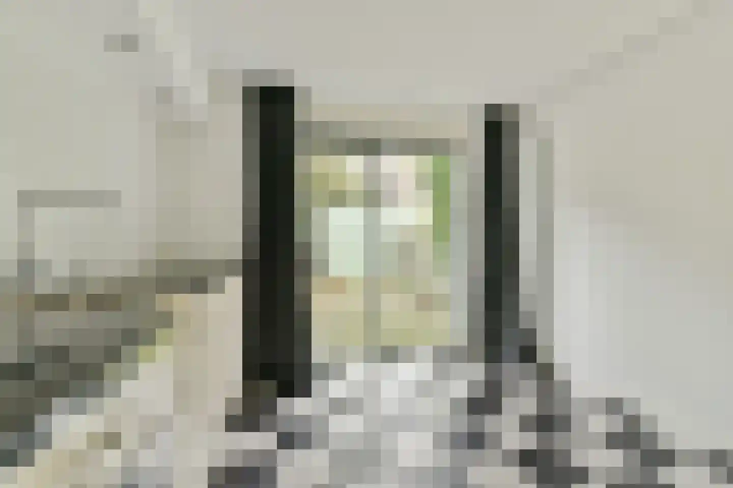 Tuinstraat 214 Amsterdam thumbnail 4