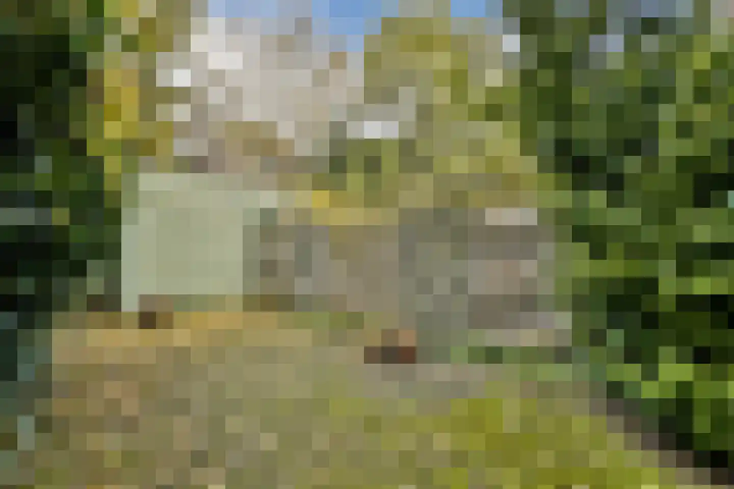 Tuinstraat 214 Amsterdam thumbnail 6