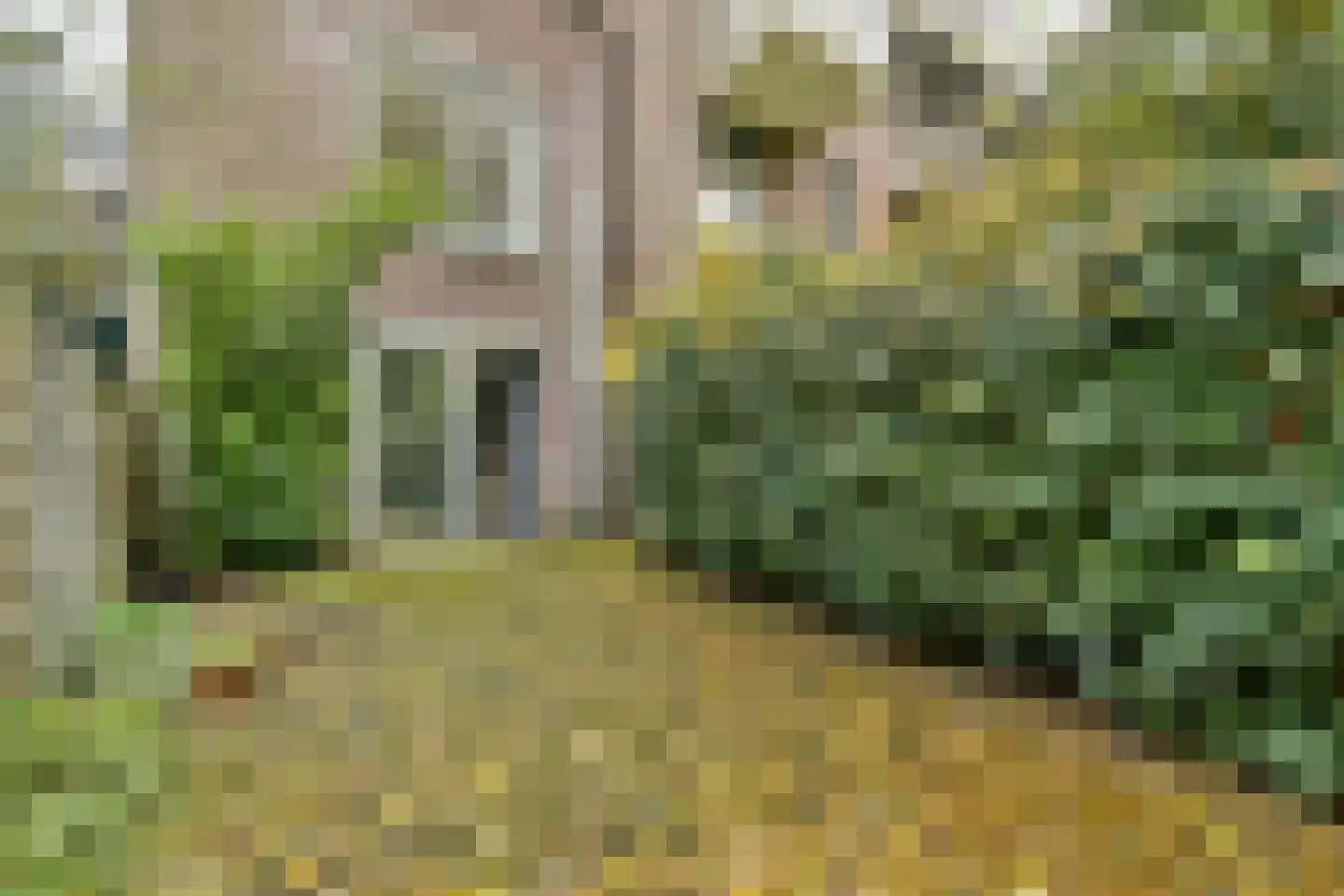 Tuinstraat 214 Amsterdam thumbnail 7