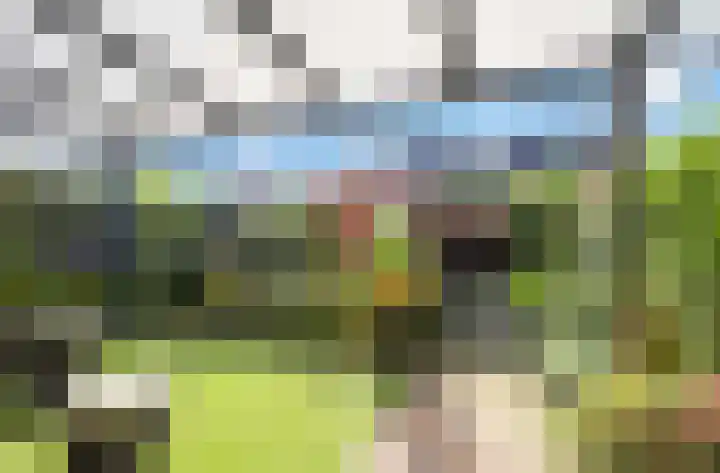 Tuinstraat 22 Lobith thumbnail 17