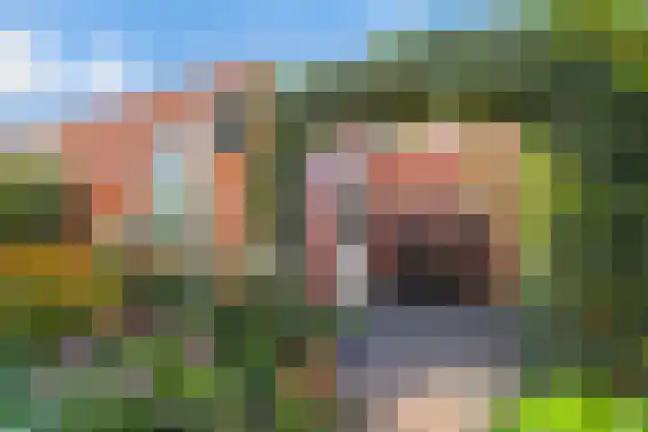 Tuinstraat 22 Lobith thumbnail 19