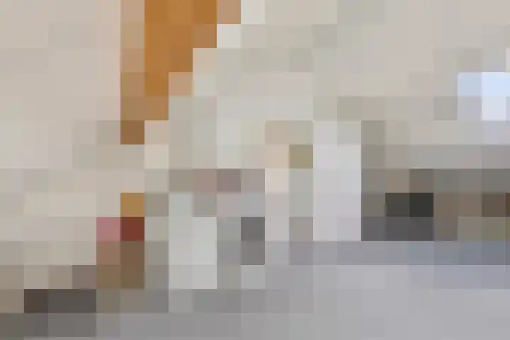 Tuinstraat 22 Lobith thumbnail 37