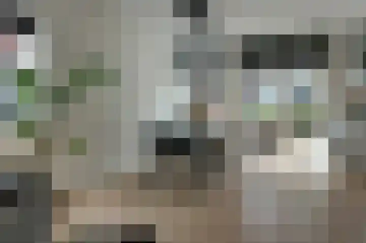 Tuinstraat 24 a Gouda thumbnail 11