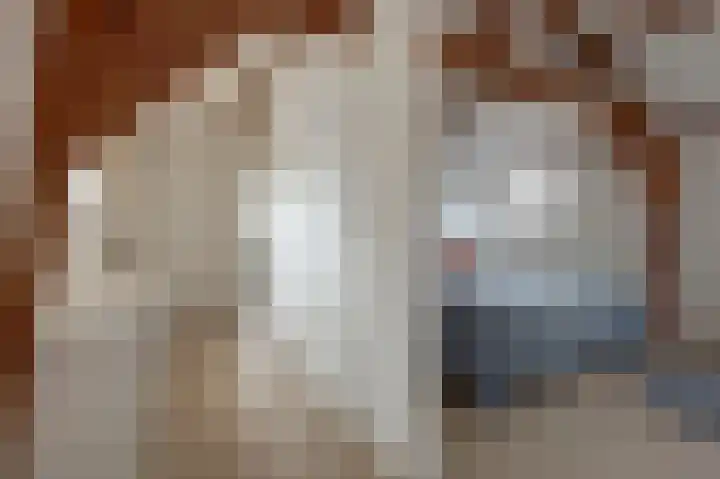 Tuinstraat 24 a Gouda thumbnail 19