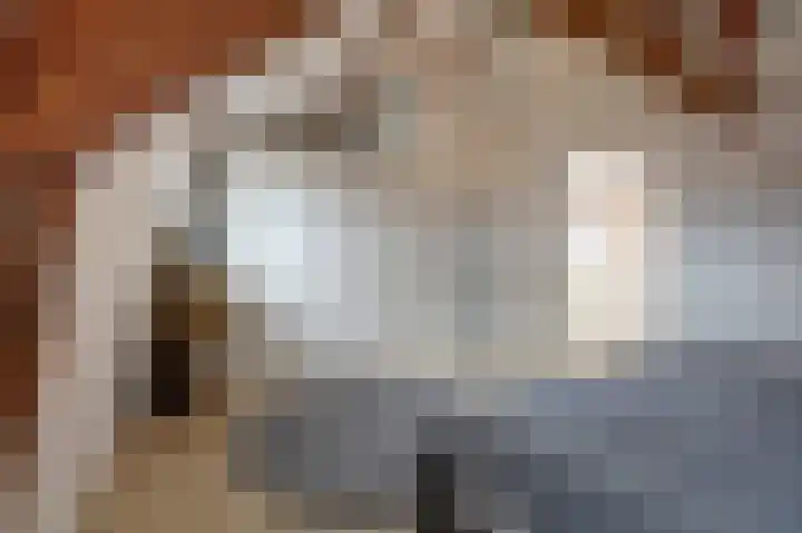 Tuinstraat 24 a Gouda thumbnail 20