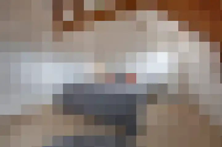 Tuinstraat 24 a Gouda thumbnail 22