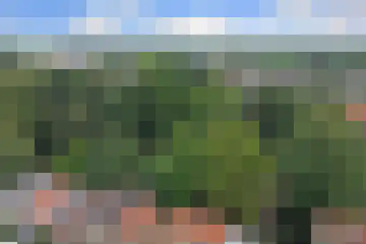 Tuinstraat 24 a Gouda thumbnail 33