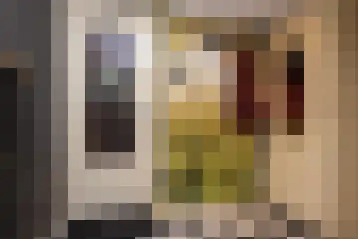 Tuinstraat 24 Dirksland thumbnail 13