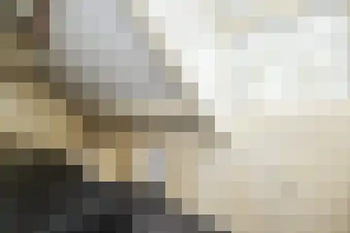 Tuinstraat 24 Dirksland thumbnail 21