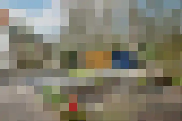 Tuinstraat 24 Dirksland thumbnail 23