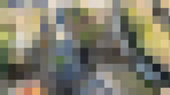 Tuinstraat 24 Dirksland thumbnail 25