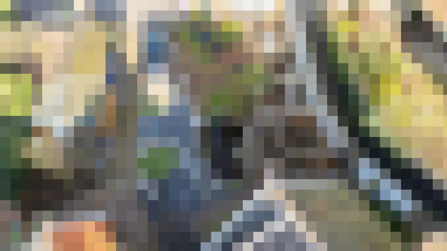 Tuinstraat 24 Dirksland thumbnail 25